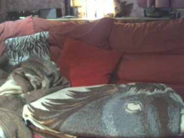 tanjamep 19-10-2021 Webcam 